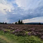 Junge Ruhr * Olsberg