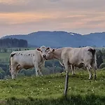 Junge Ruhr Dom wakacyjny *