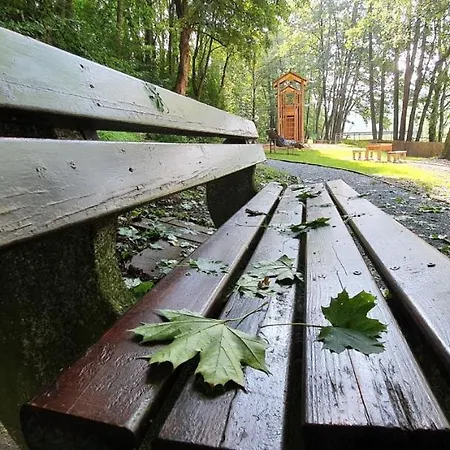 Junge Ruhr * Olsberg