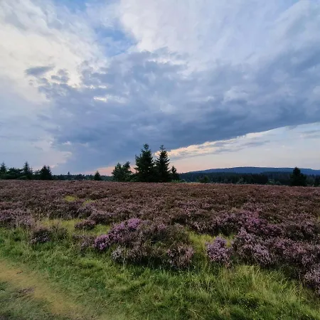Junge Ruhr * Olsberg