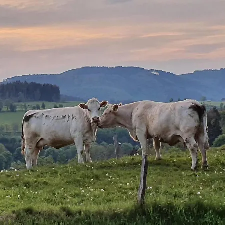 Junge Ruhr Prázdninový dům *
