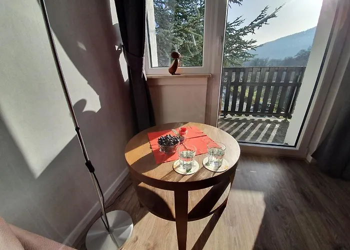 Junge Ruhr بيت للعطل اولسبرغ