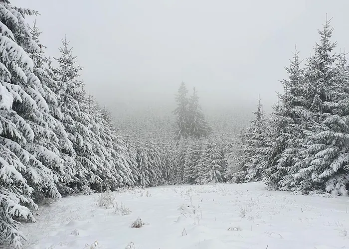 بيت للعطل Junge Ruhr *