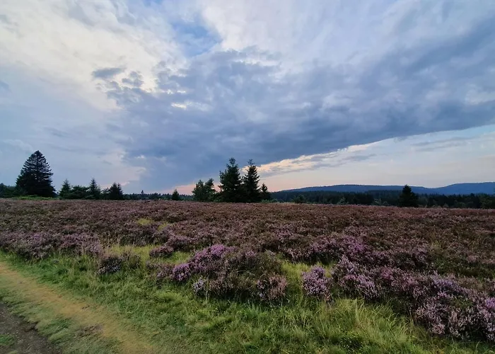 Junge Ruhr * اولسبرغ