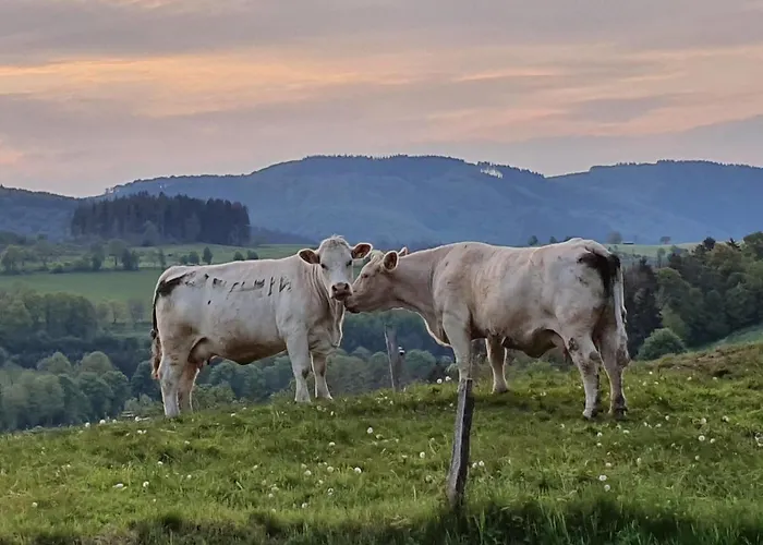 Junge Ruhr بيت للعطل *